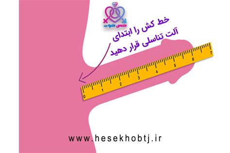 تصاویرکیر|اندازه آلت انسان